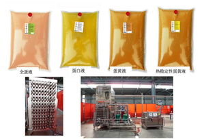 烏克蘭蛋雞產業 全球前十的養殖特點與家禽概況